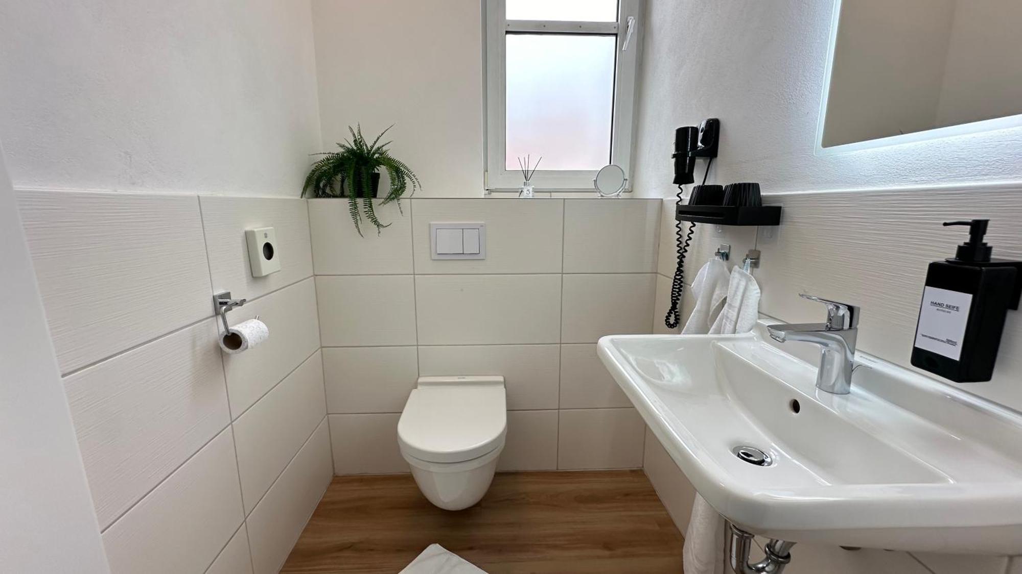 Das Loft - Sauna - 4 Schlafzimmer - 2 Baeder - Stadtmitte - 2 Parkplaetze Speyer Dış mekan fotoğraf